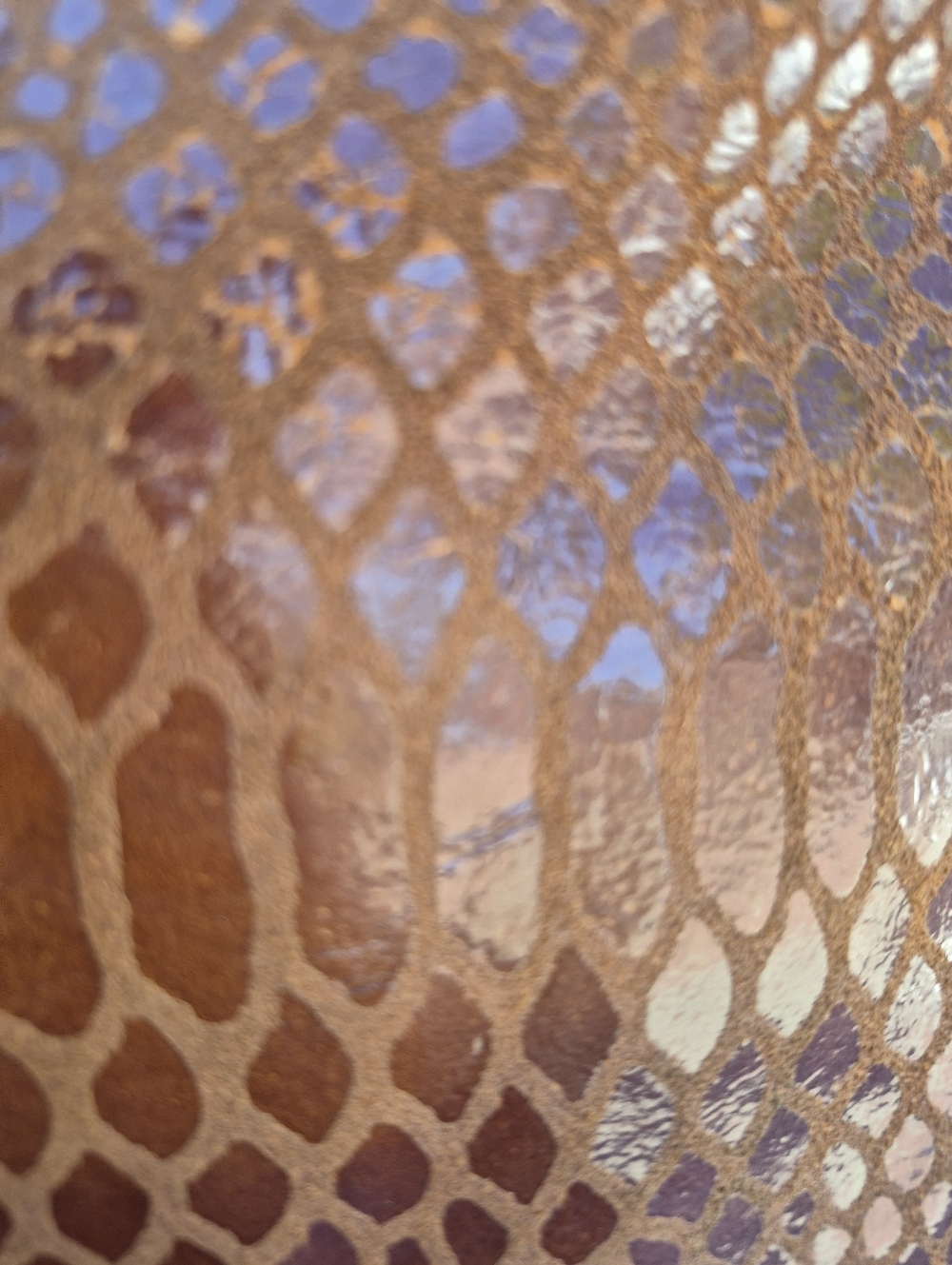 Dooney & Bourke Erica Snakeskin Hobo Shoulder Bag - Picture 6 of 14